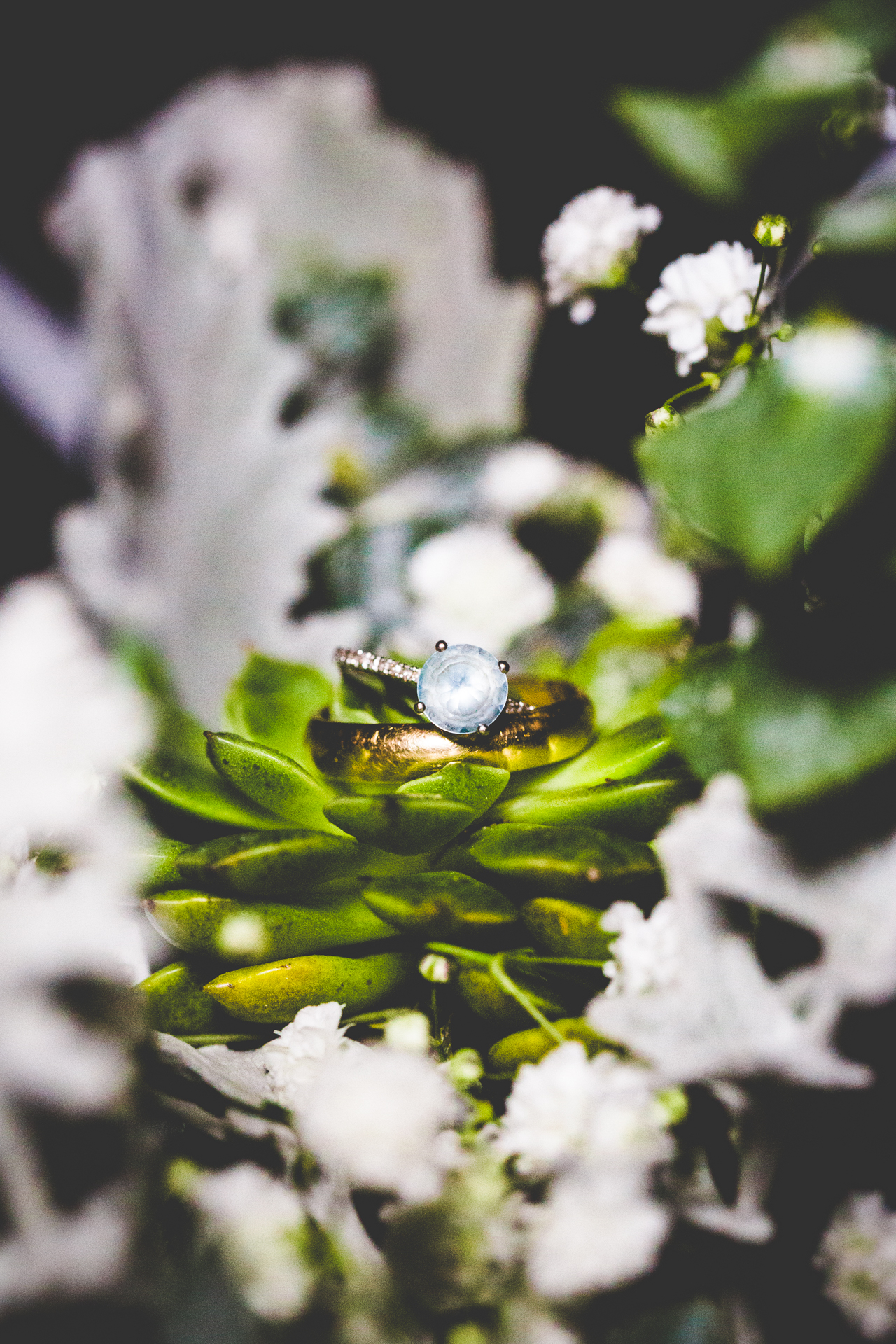 Outdoor Arkansas Wedding in August, Stella Springs Wedding Venue, Austin and Tayla | lissachandler.com-68