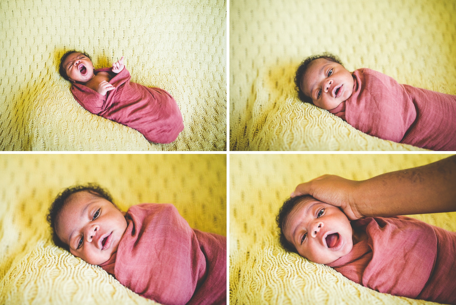simple newborn photographs in fayetteville arkansas, lissa chandler