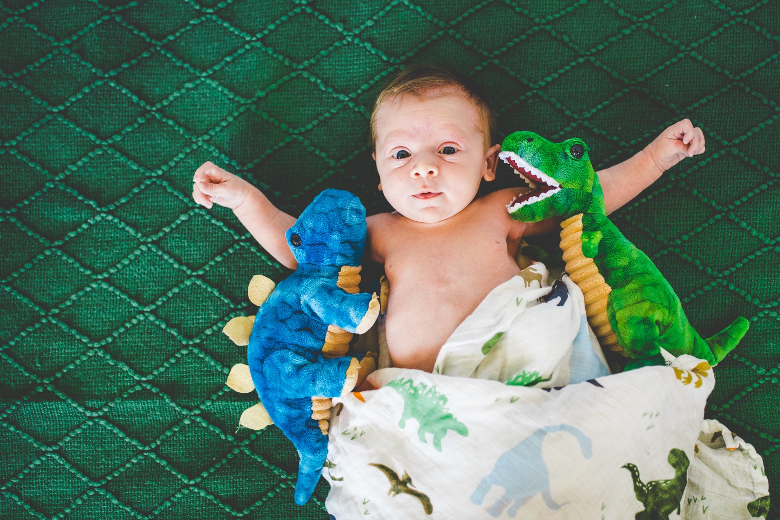 funny newborn photographs with dinosaurs by fayetteville newborn photographer