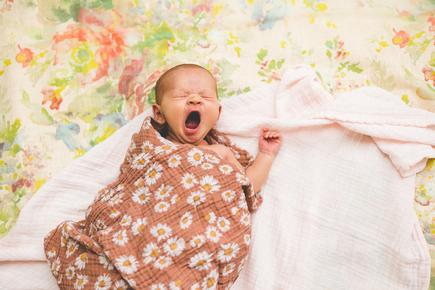 baby girl newborn photographs with floral blankets 