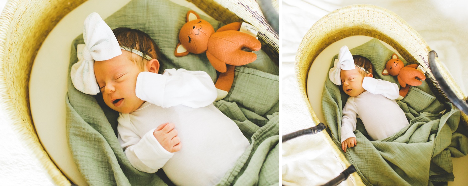 newborn photos in cute woven basket, Northwest Arkansas baby photographer 