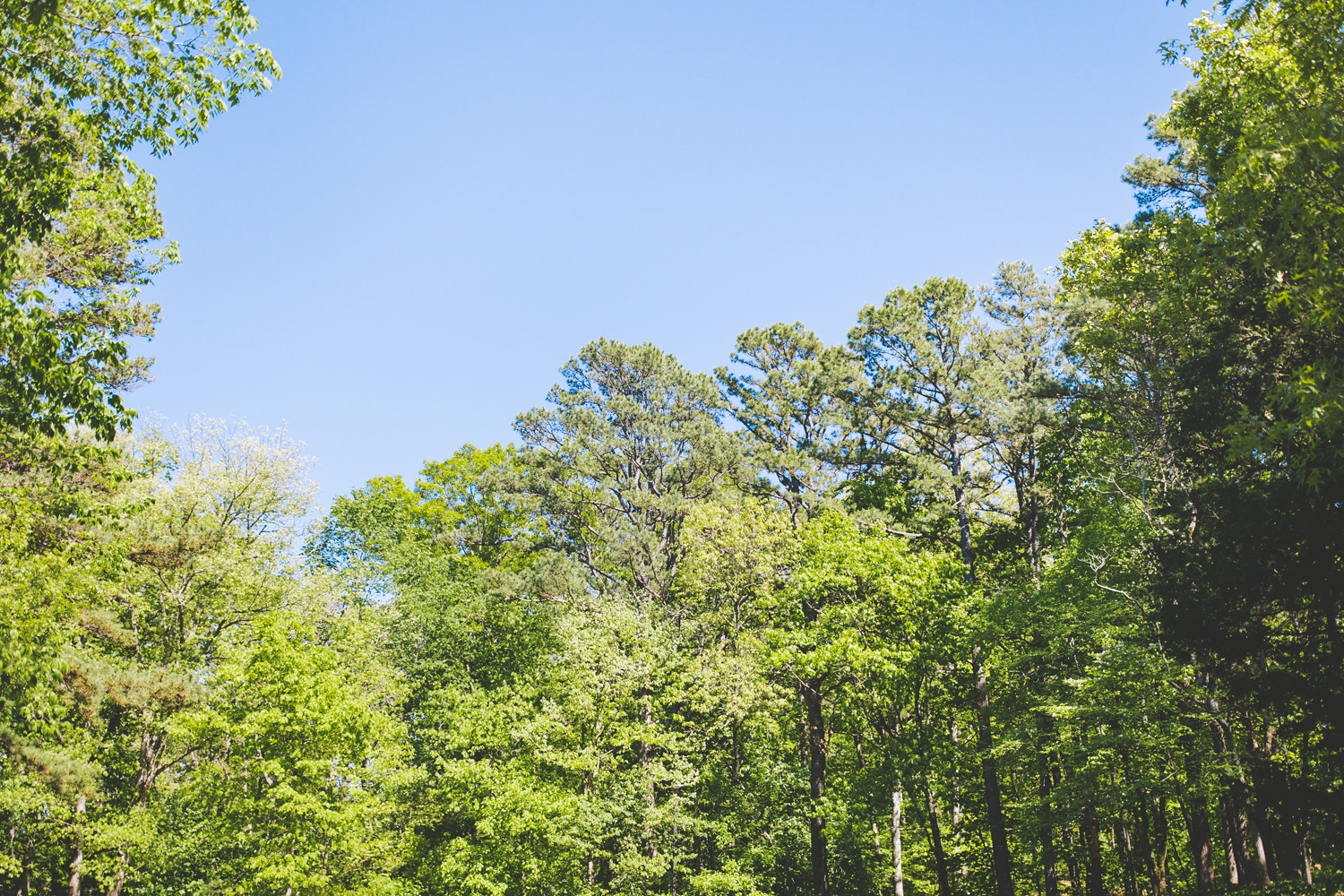 Spring Wedding at Cooper Chapel in Bella Vista