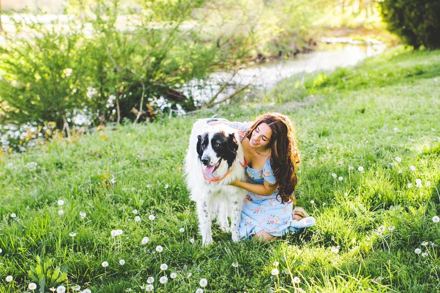 Senior Photographs of Senior Girl with Dog, Creative Posing Idea