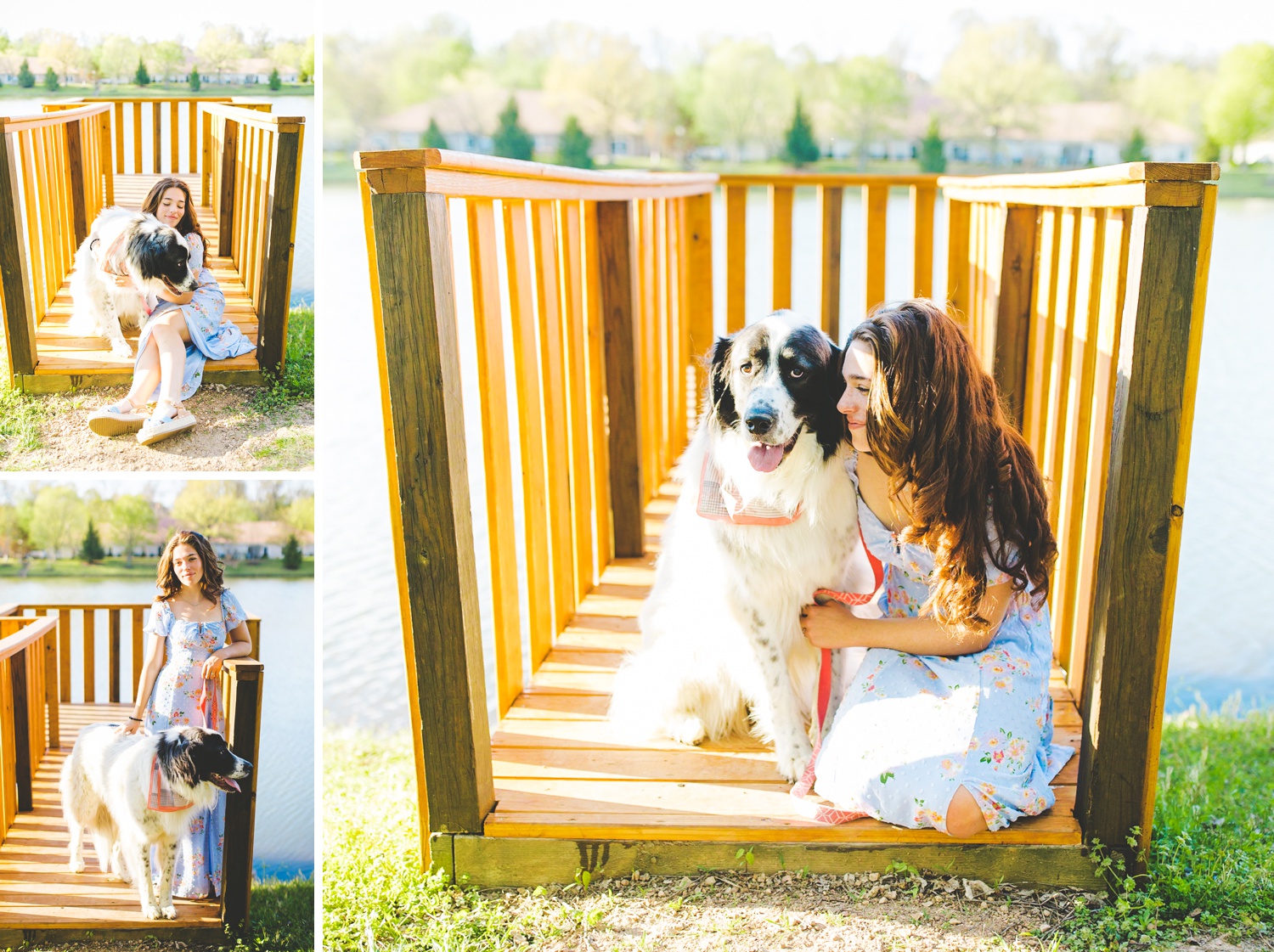Senior Photographs of Senior Girl with Dog, Creative Posing Idea
