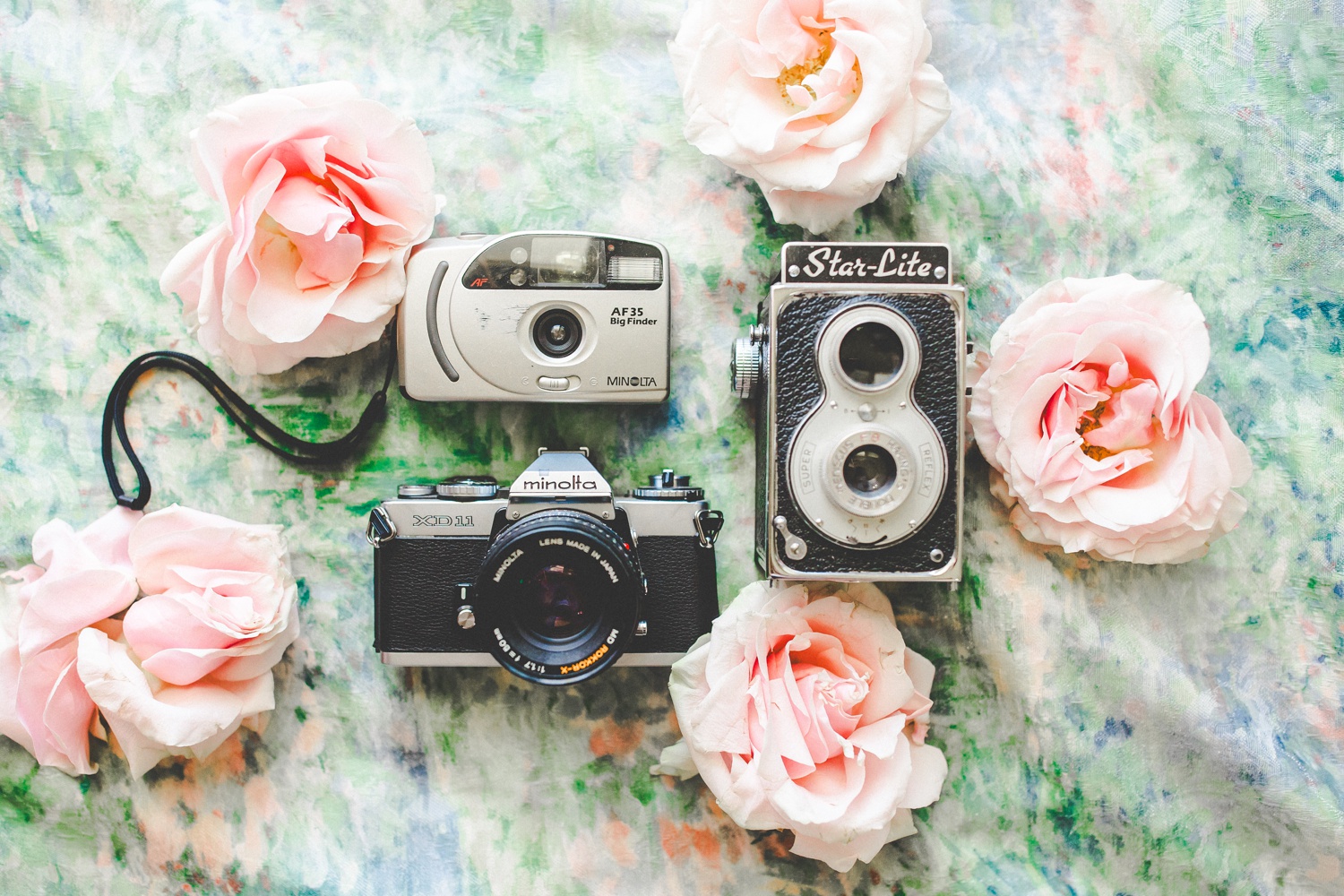 flatlay photo of vintage cameras by Lissa Chandler Photography 