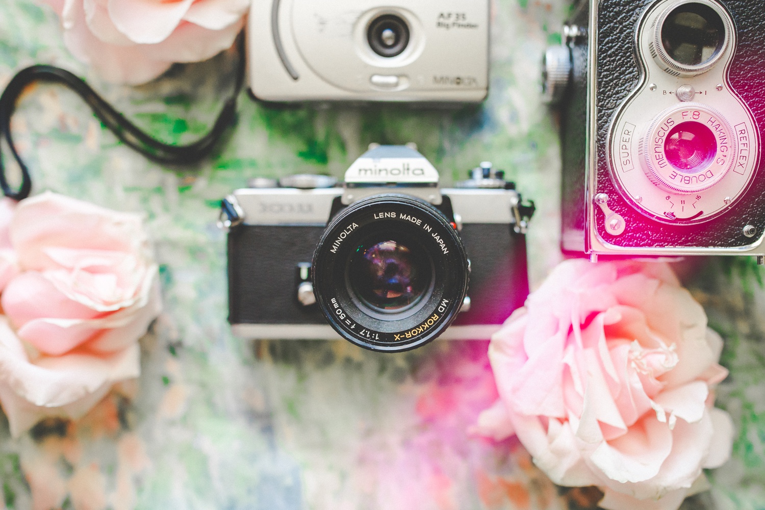 flatlay photo of vintage cameras by Lissa Chandler Photography 