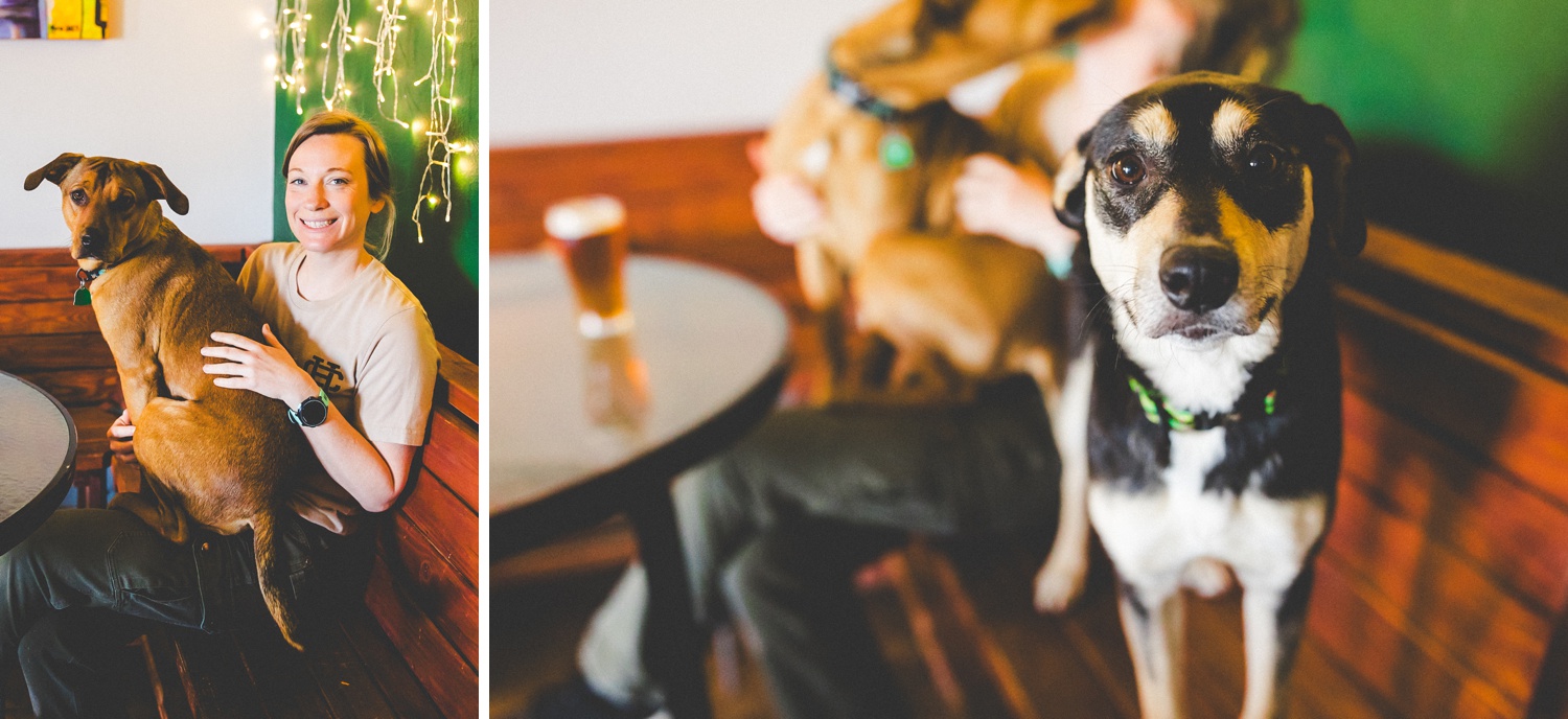 Pet Friendly Breweries in Fayetteville AR