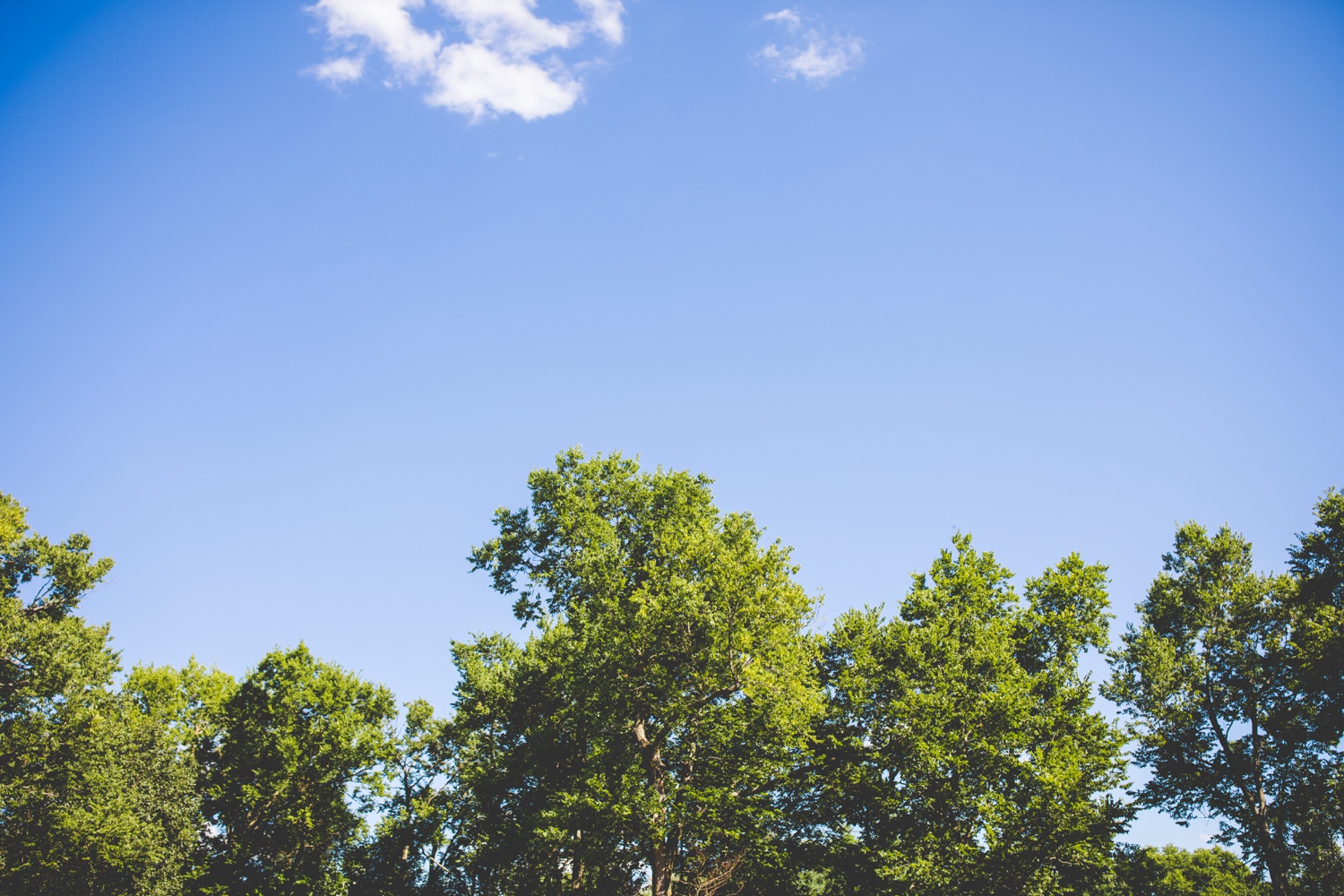 summer wedding in Springfield Missouri