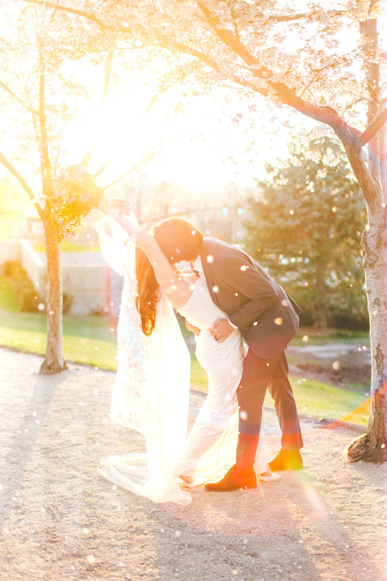 Golden Hour Bridal Portraits in SLC Cherry Blossoms 
