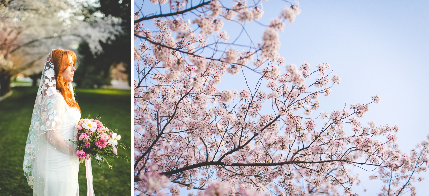 Dusk Bride and Groom Portraits and The Salt Lake City Cherry Blossoms 