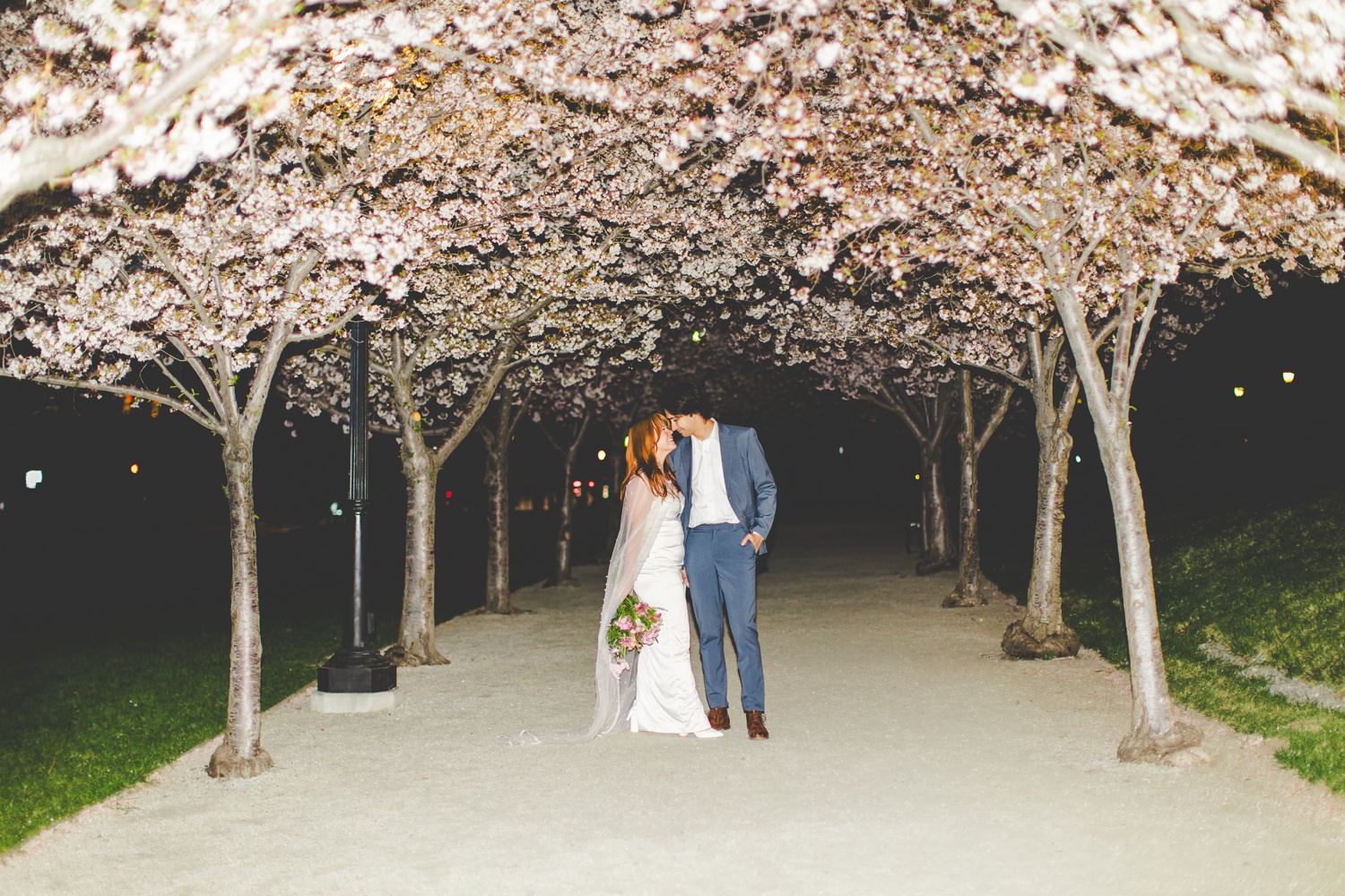 Night Bridal Portraits at the Salt Lake City Cherry Blossoms 