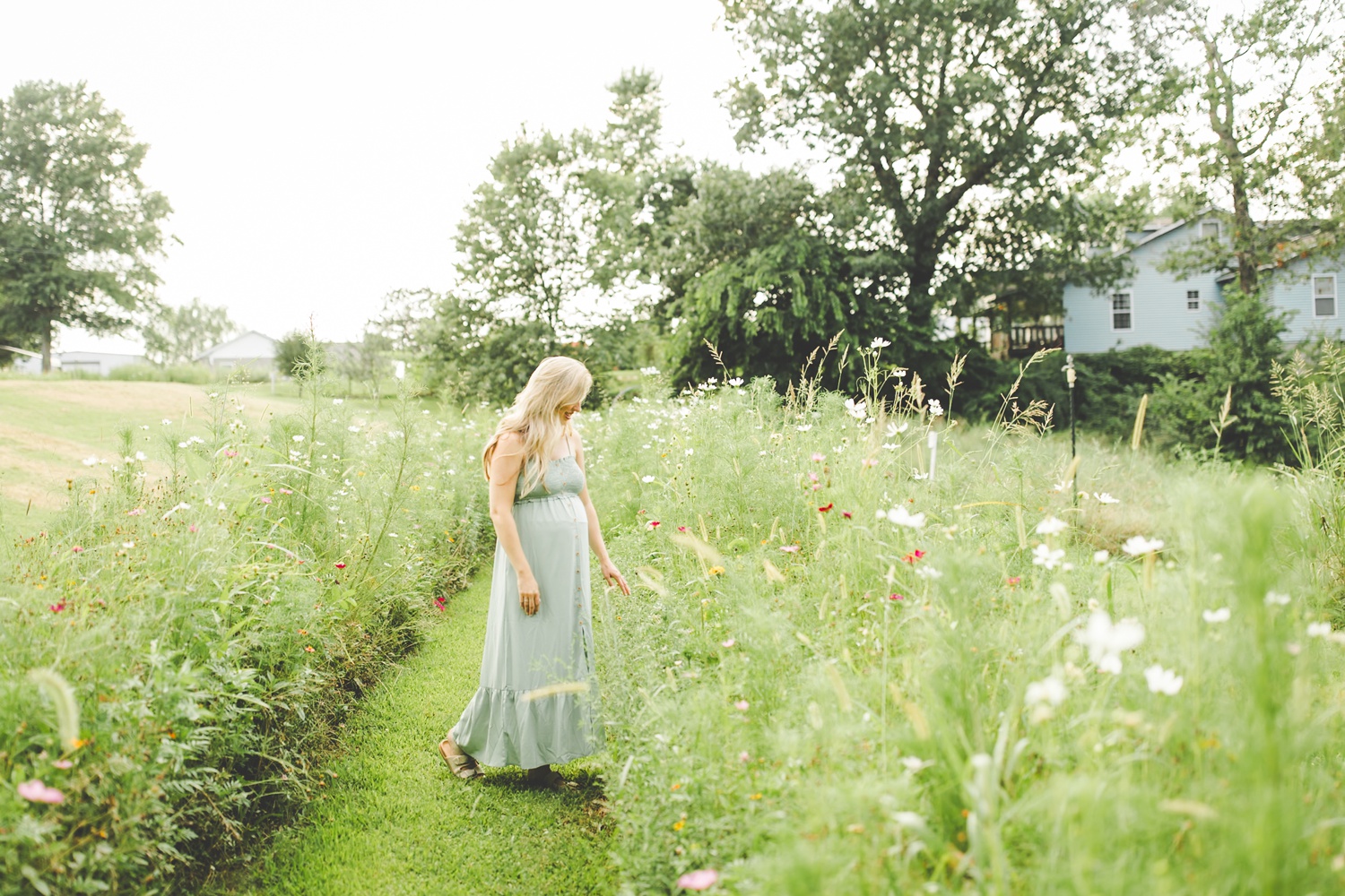 Golden Hour Maternity Photos at Sacred Hollow Farms in Rogers