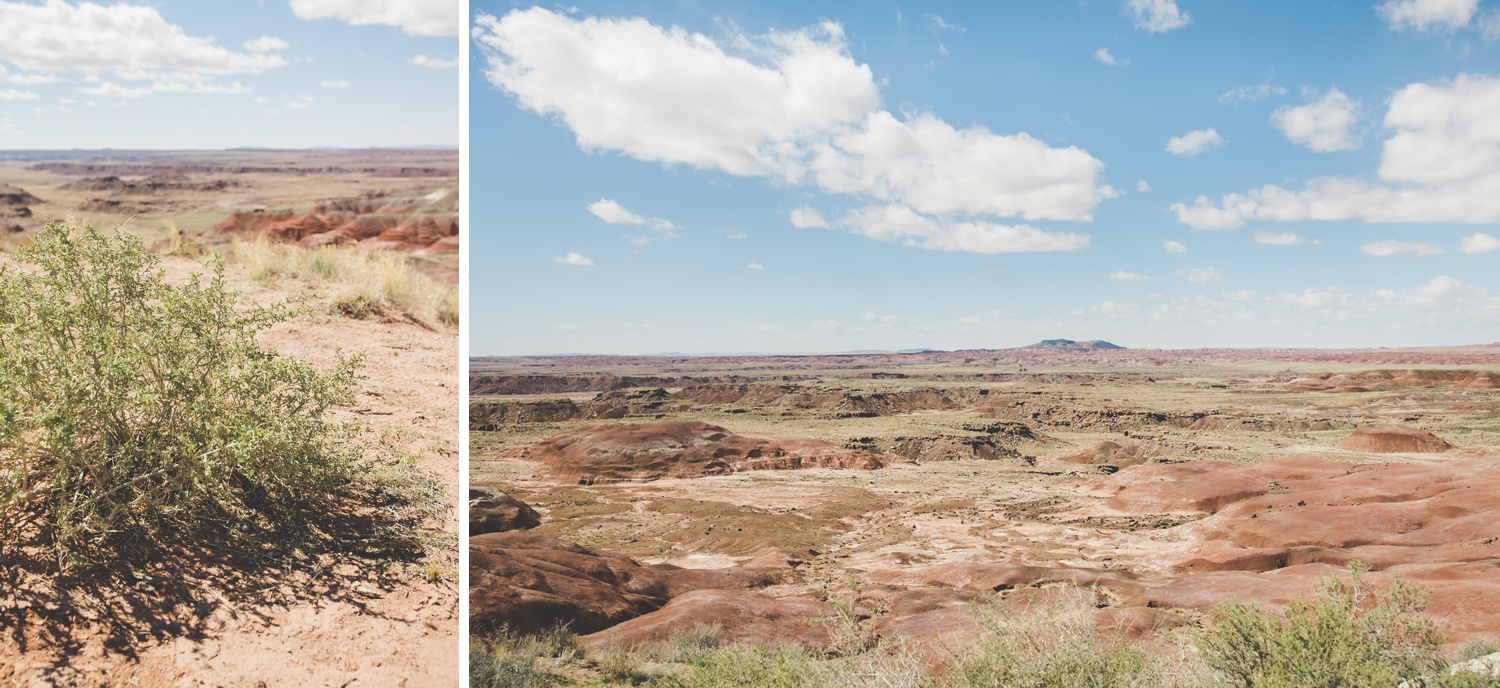 Colorful Photo of Petrified National Forest