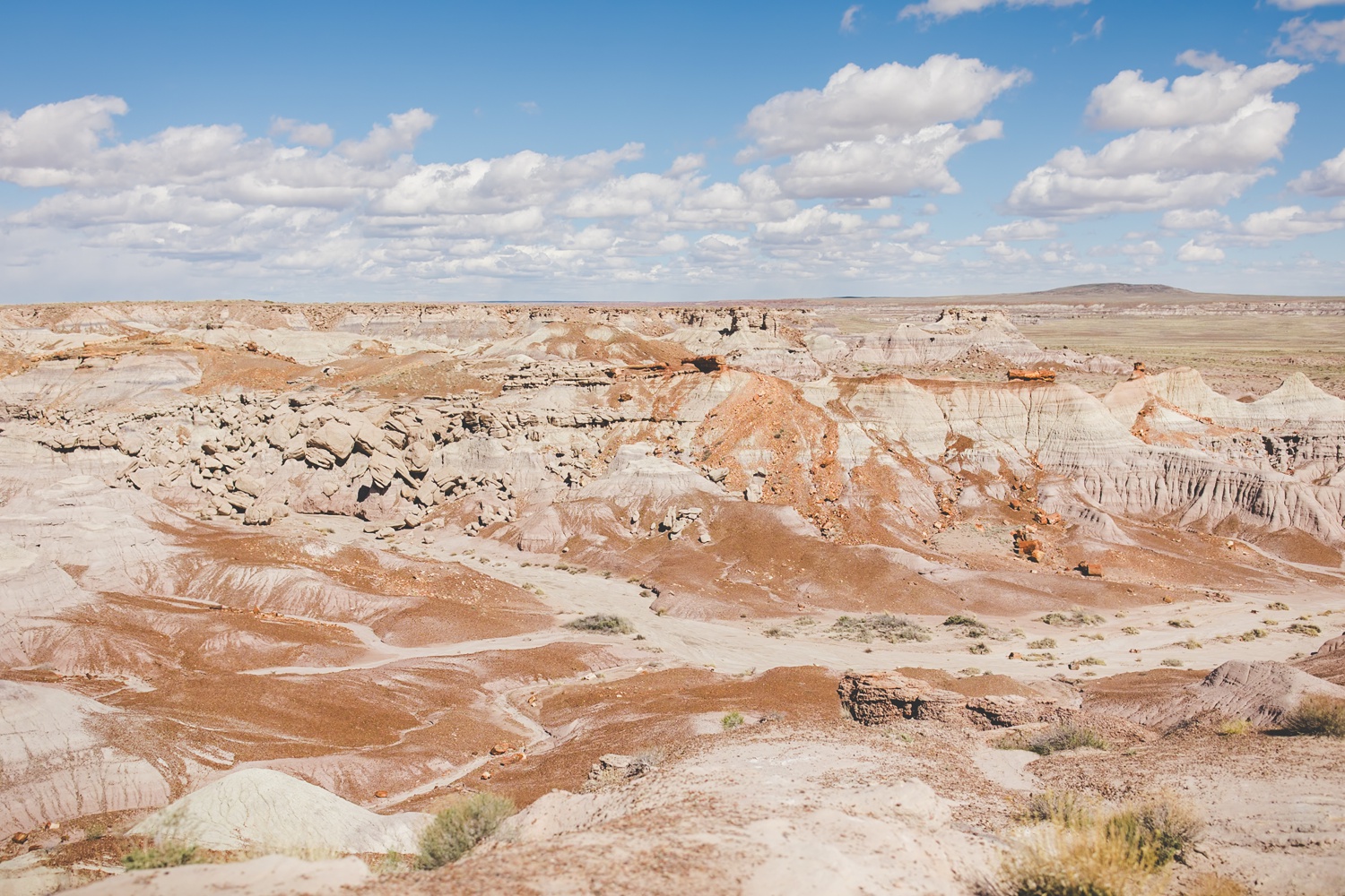 Colorful Photo of Petrified National Forest