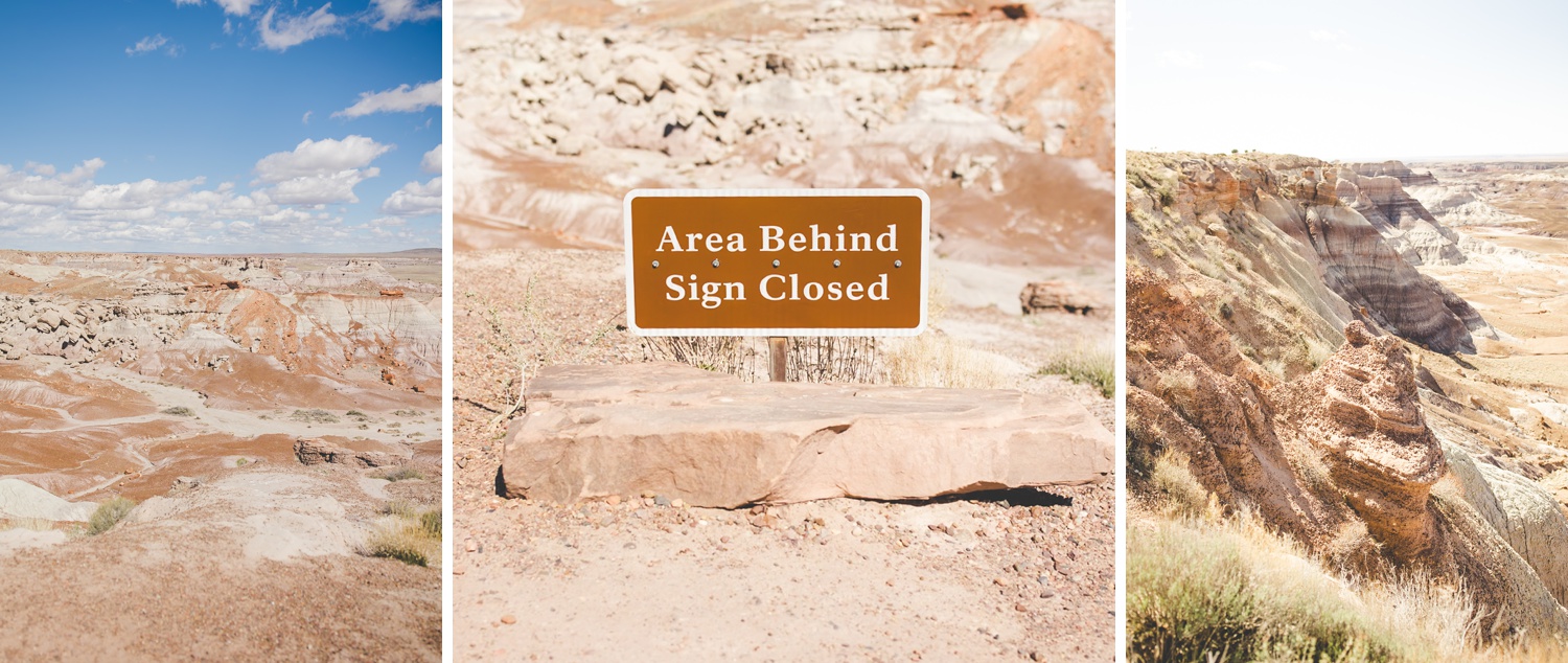 Colorful Photo of Petrified National Forest