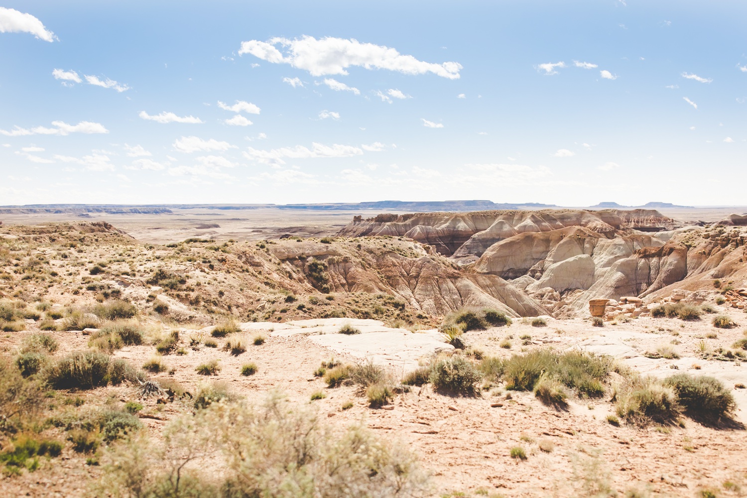 Colorful Photo of Petrified National Forest