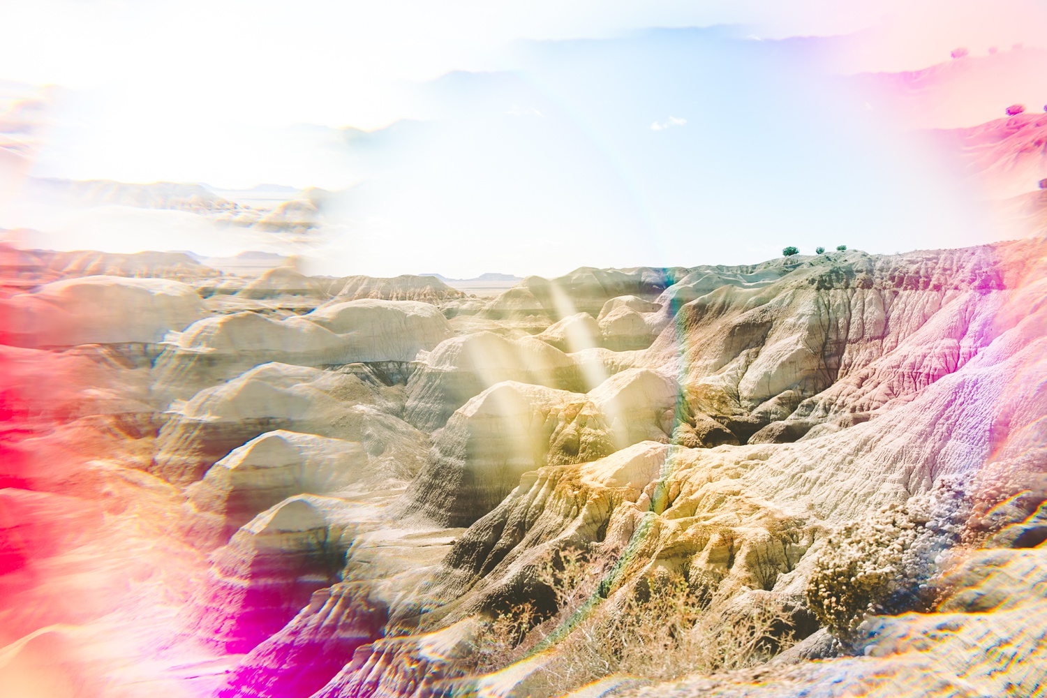 Colorful Photo of Petrified National Forest