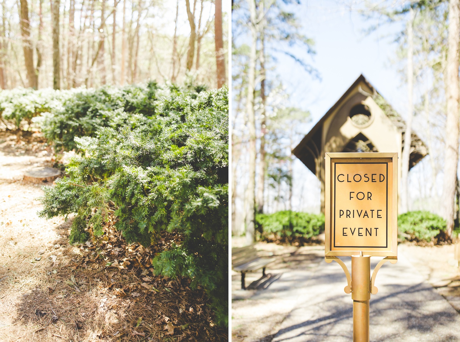 Colorful Elopement Photography in Northwest Arkansas