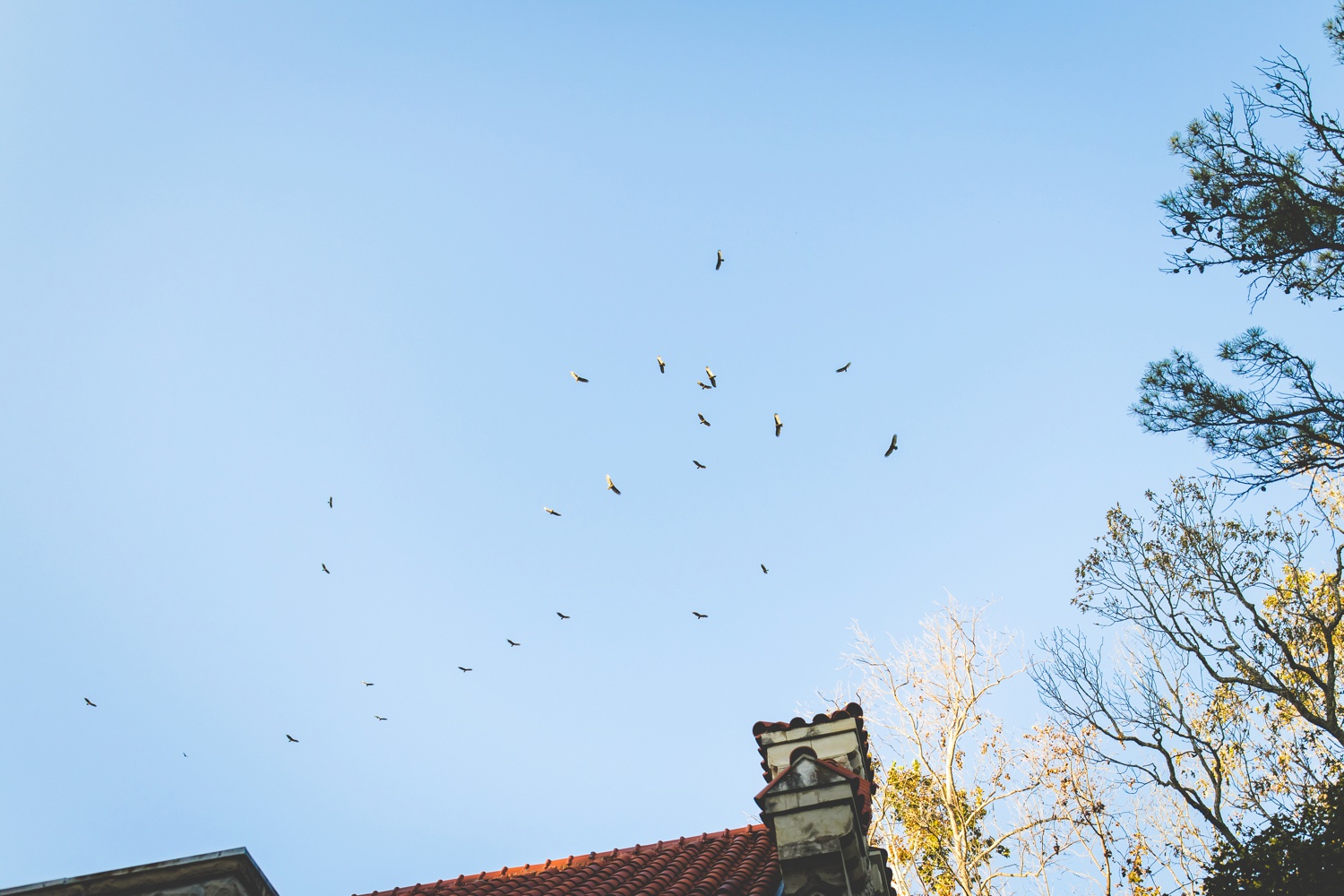 Lifestyle Family Photos in Eureka Springs Arkansas