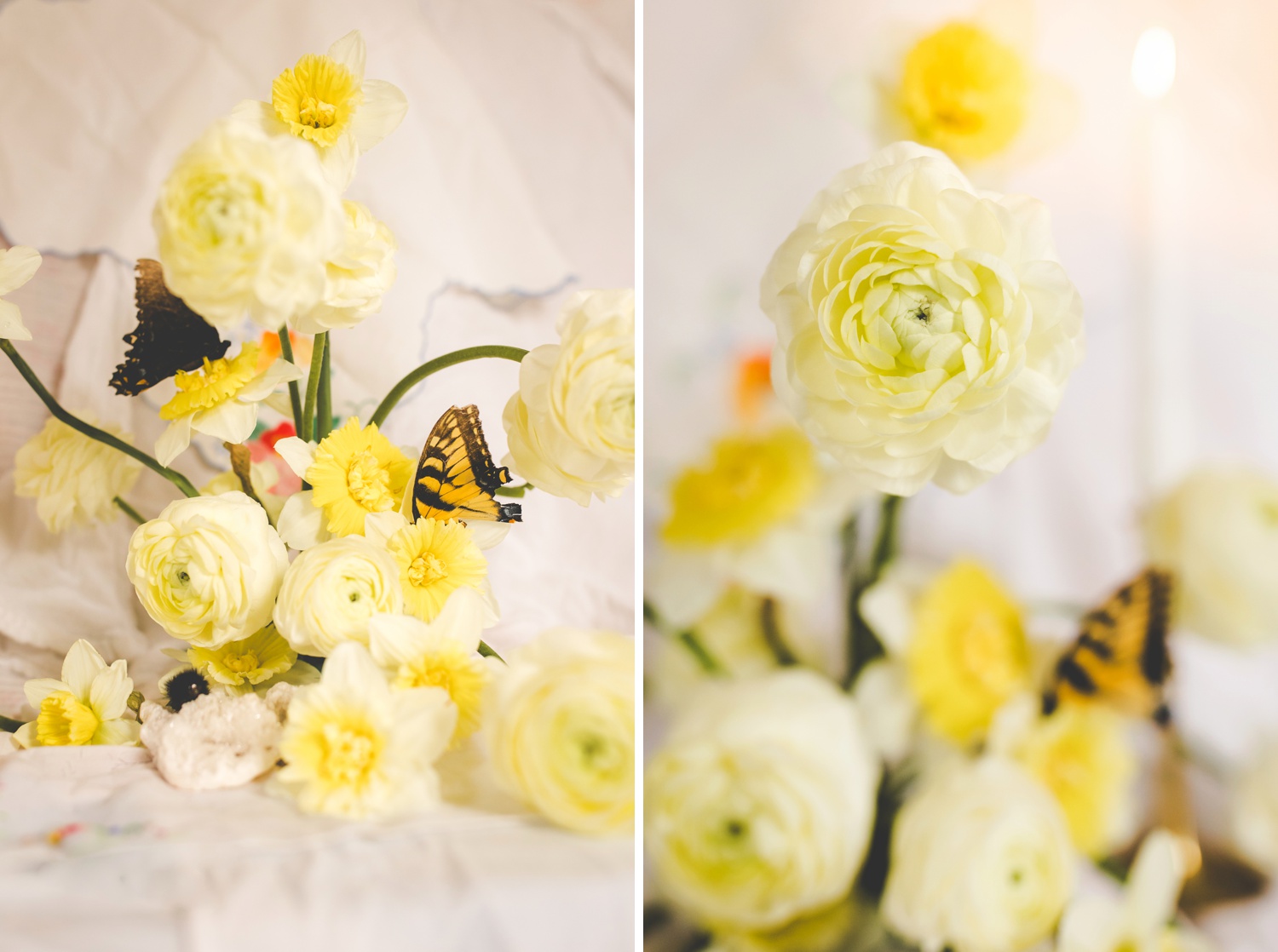Spring Floral Still Life with Daffodils and Ranunculus 