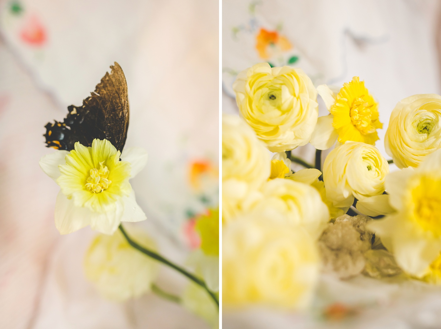 Spring Floral Still Life with Daffodils and Ranunculus 
