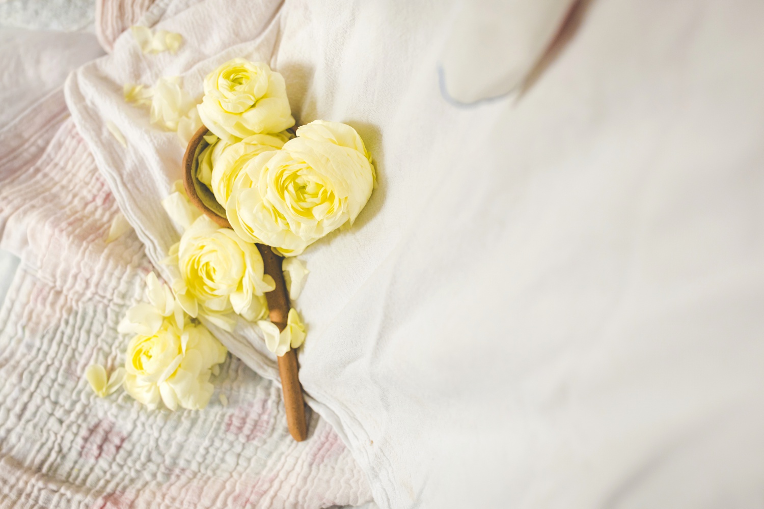 Spring Floral Still Life with Ranunculus 