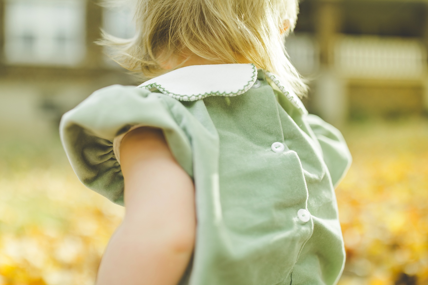 Fall Family Photos in Fayetteville with Colorful Leaves