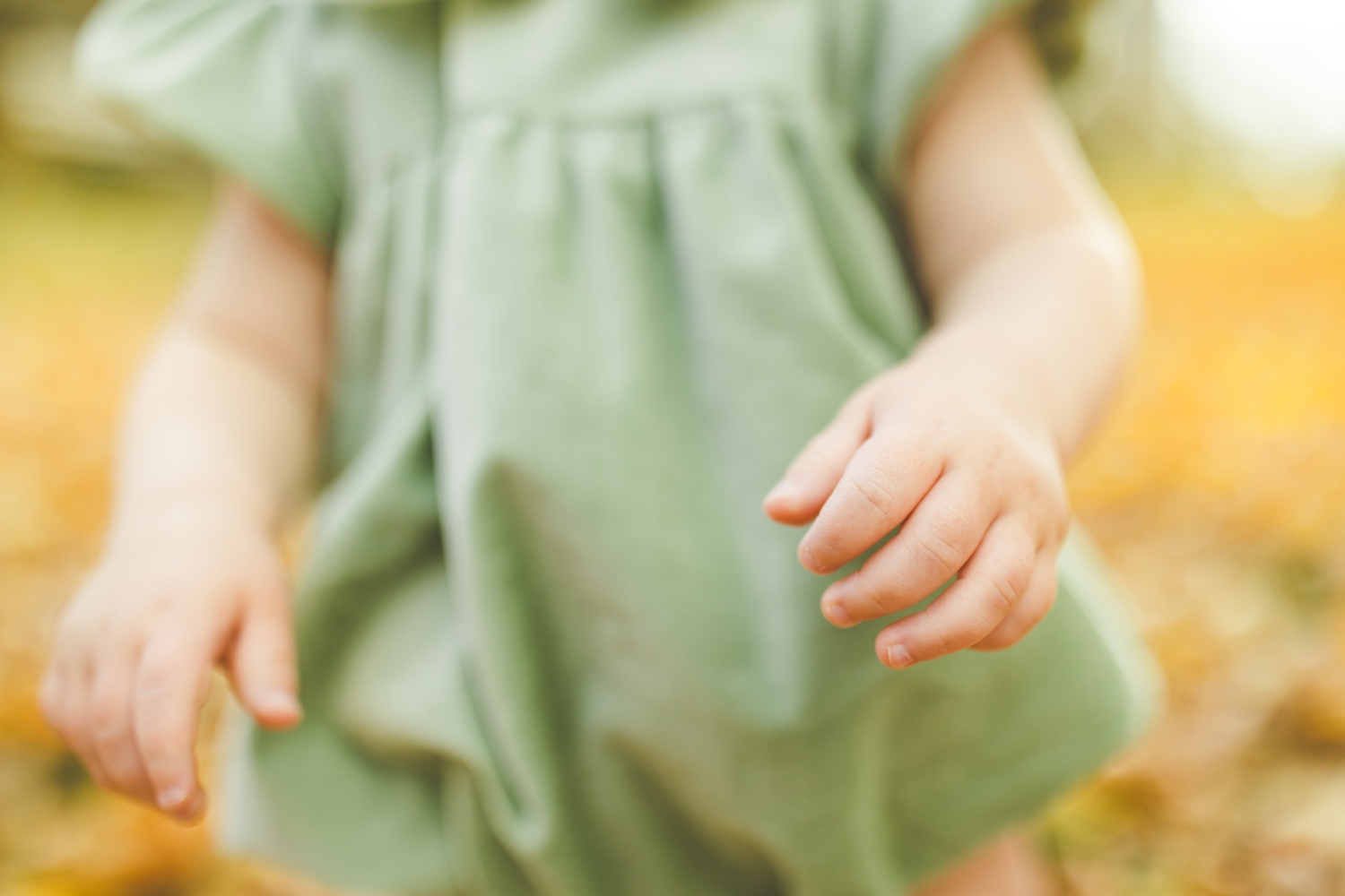 Fall Family Photos in Fayetteville with Colorful Leaves