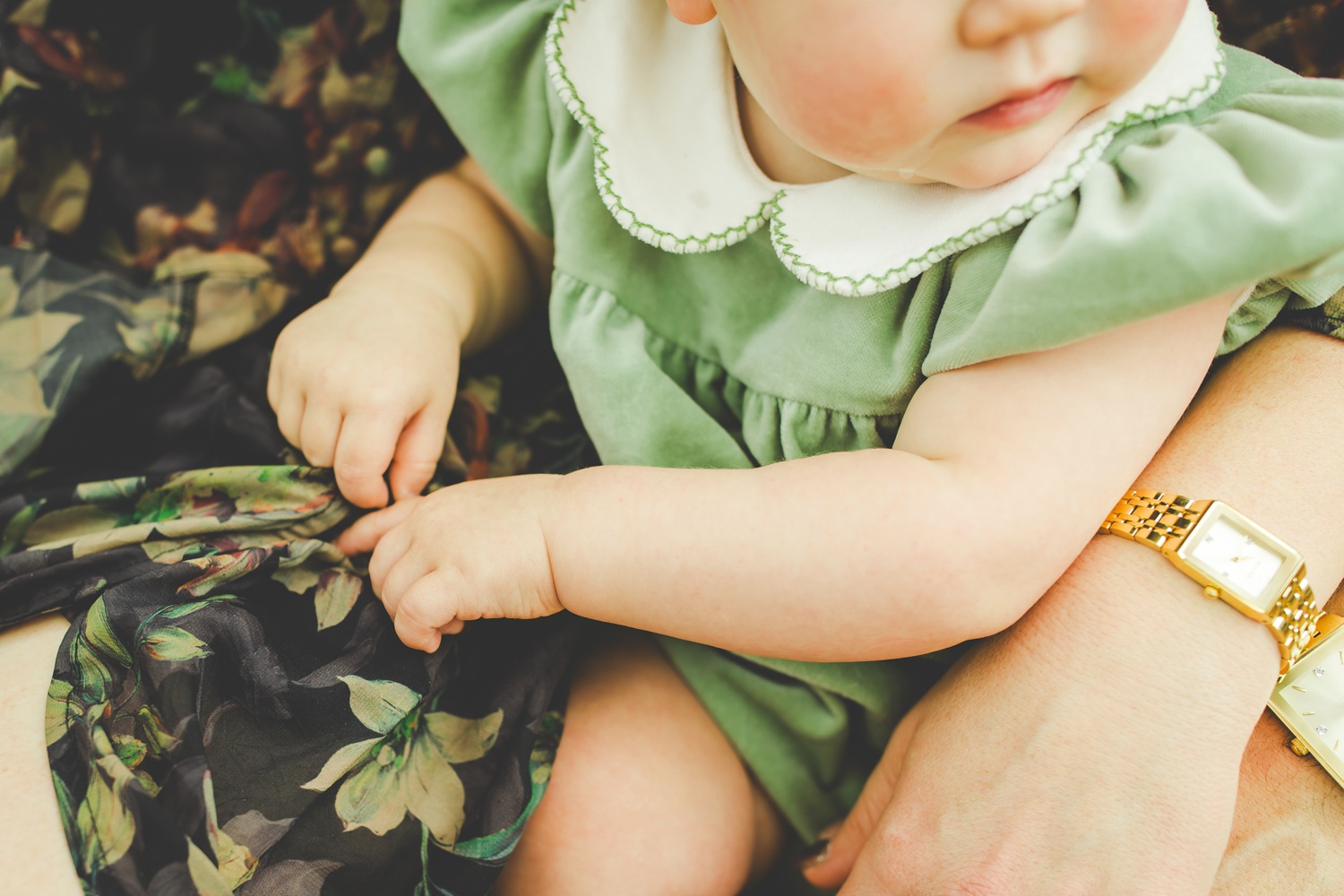 Colorful Family Photographs in Northwest Arkansas