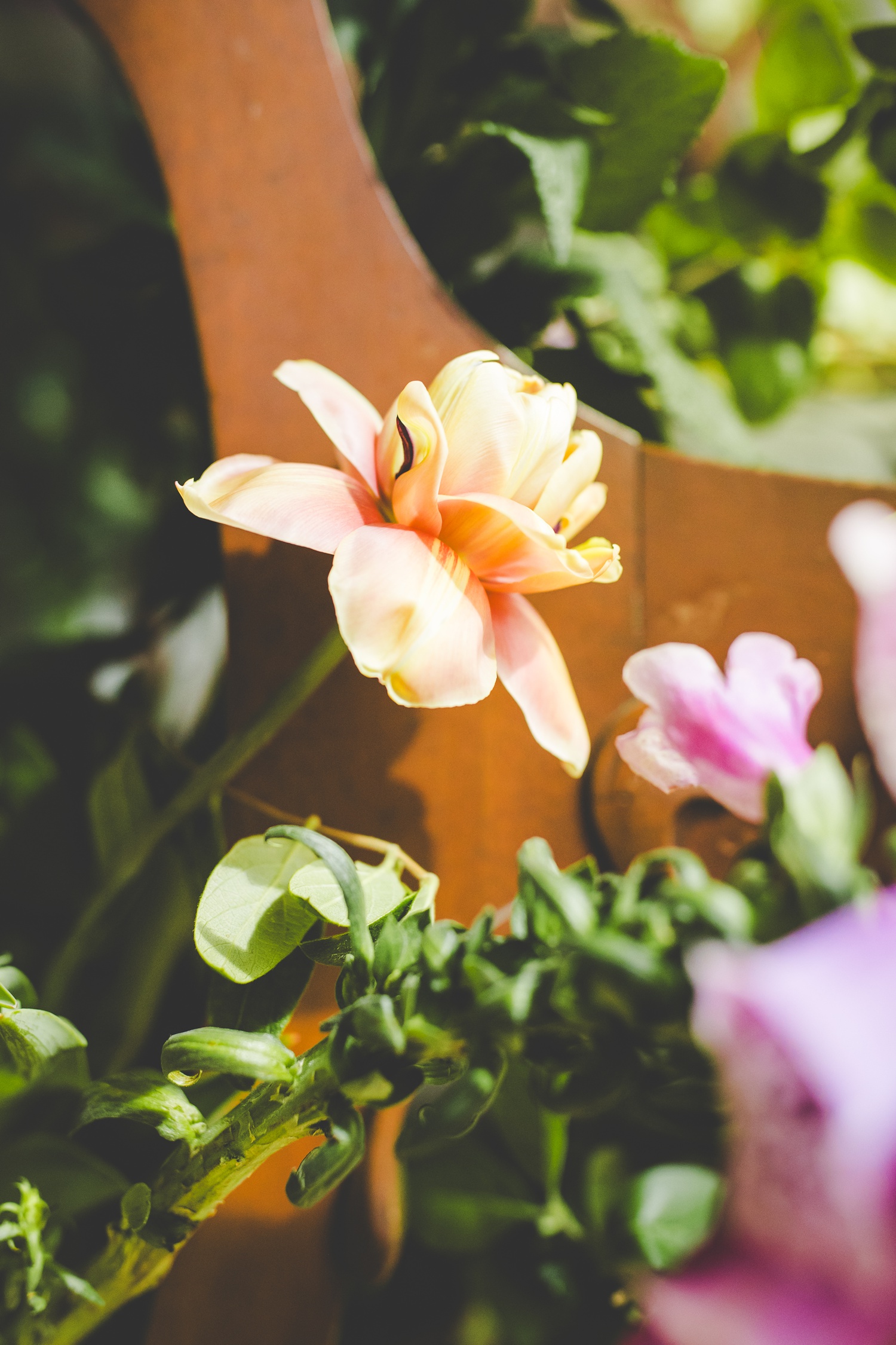 Wedding Florists in Northwest Arkansas