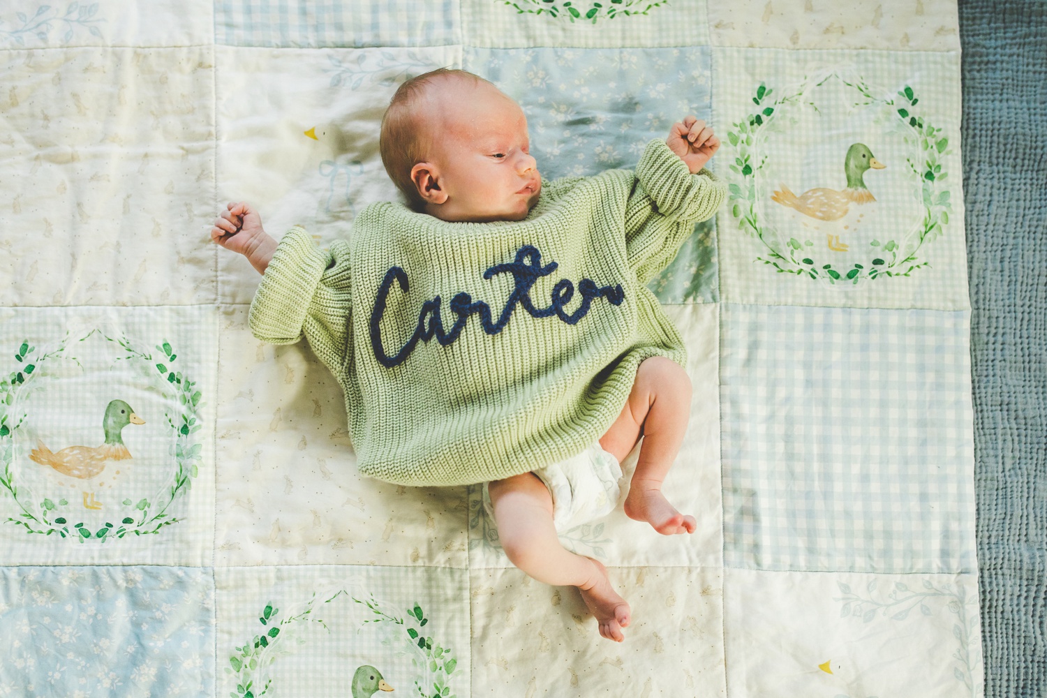 Colorful Family Newborn Photos in Northwest Arkansas by Lissa Chandler 