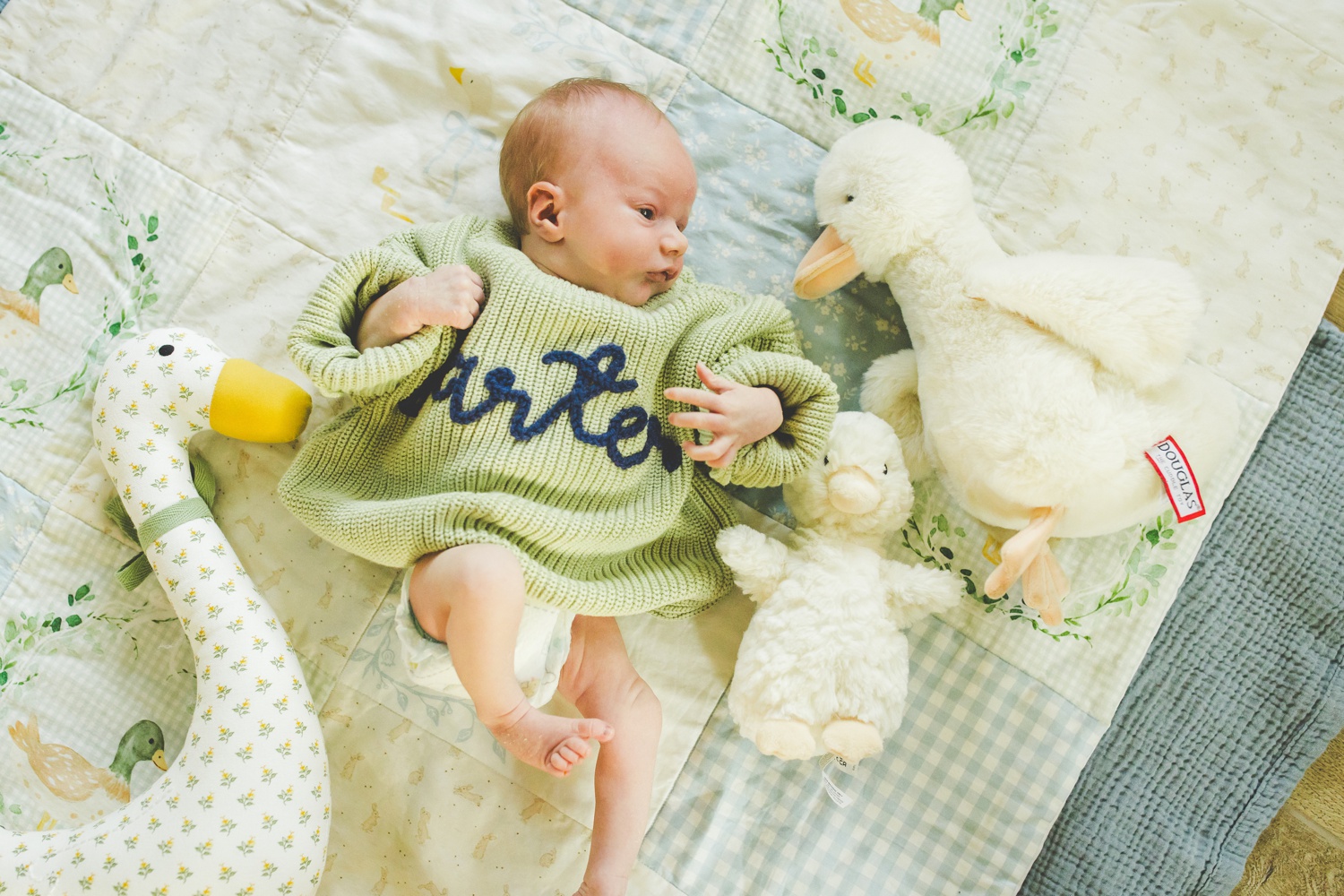 Colorful Family Newborn Photos in Northwest Arkansas by Lissa Chandler 